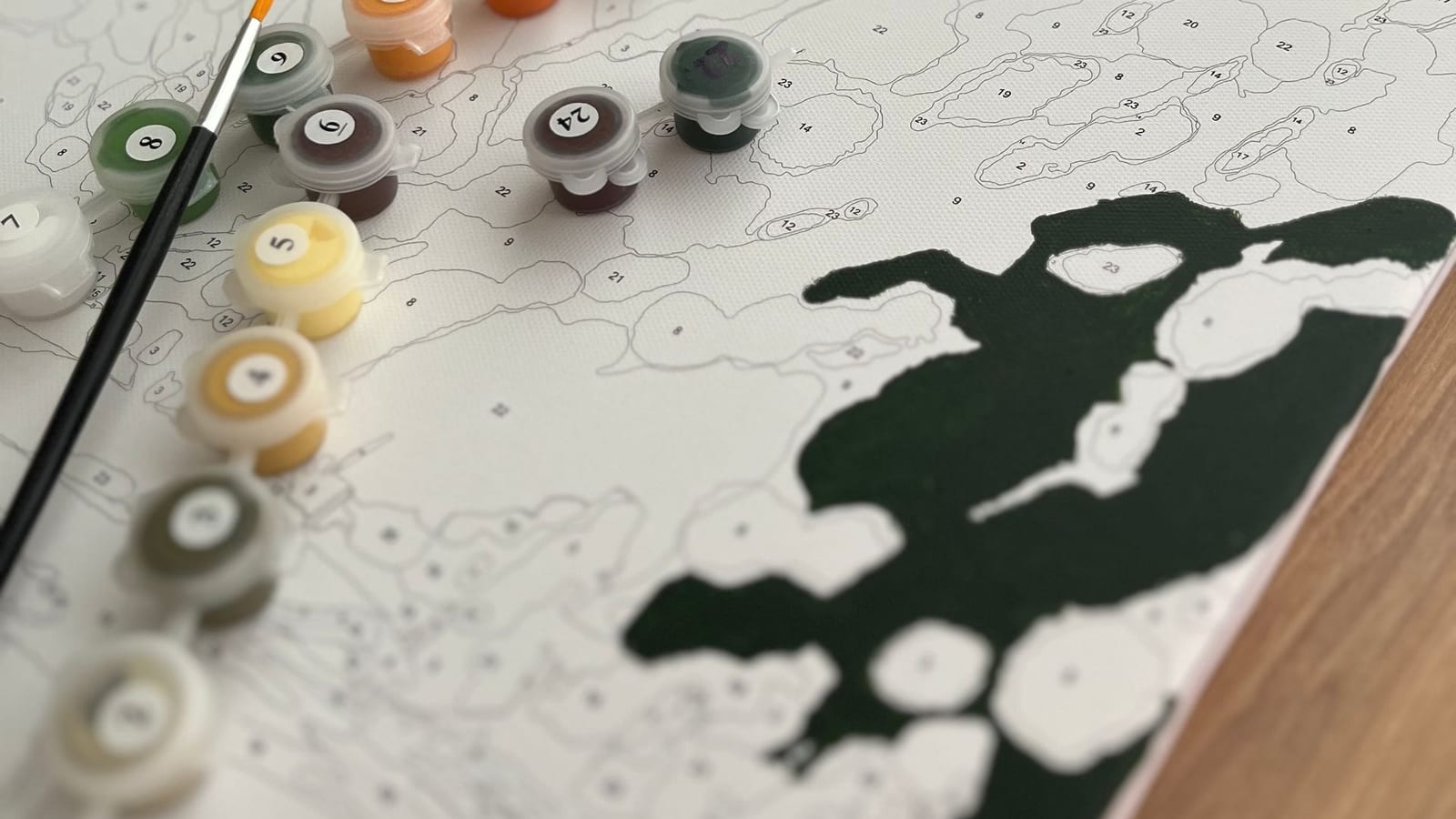 Number Artist Review 2026: Custom Photo Kits vs Standard Designs Compared